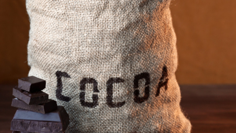 I nostri ingredienti 6