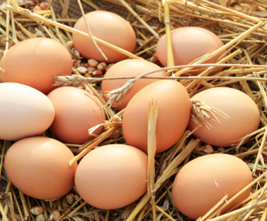 I nostri ingredienti 16