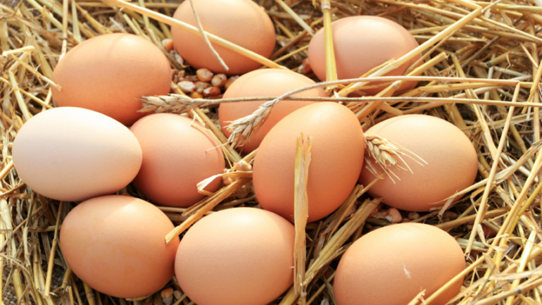 I nostri ingredienti 16