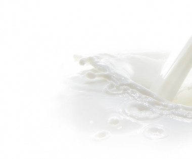 I nostri ingredienti 8