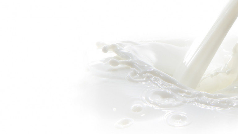 I nostri ingredienti 8