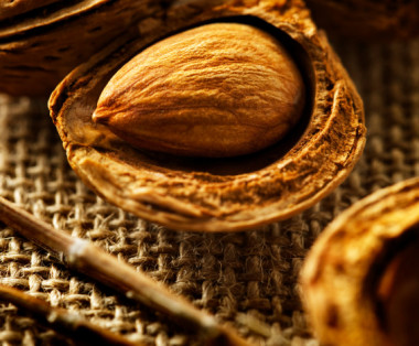 I nostri ingredienti 9