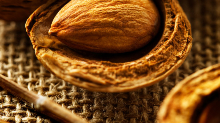 I nostri ingredienti 9